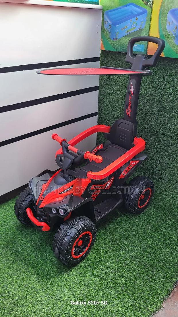 Baby Sunny Push Car With Canopy - main view