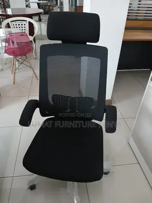 Posture Support Office Chair