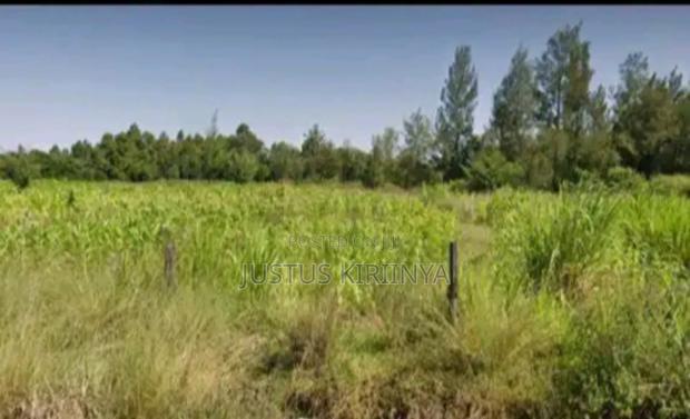 Land for Sale 3/4 With Ready Tittle Deed - thumbnail 2