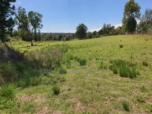 2 Acres in Nanyuki [ Ngarariga ]