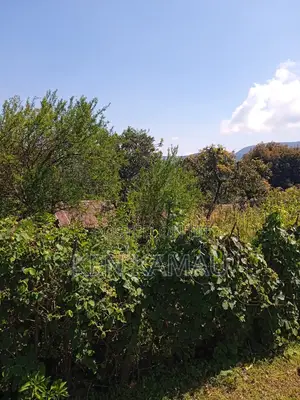 3/4 Acre Land for Sale in Kabazi