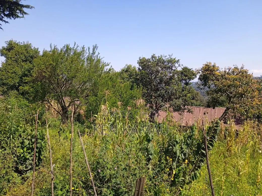3/4 Acre Land for Sale in Kabazi