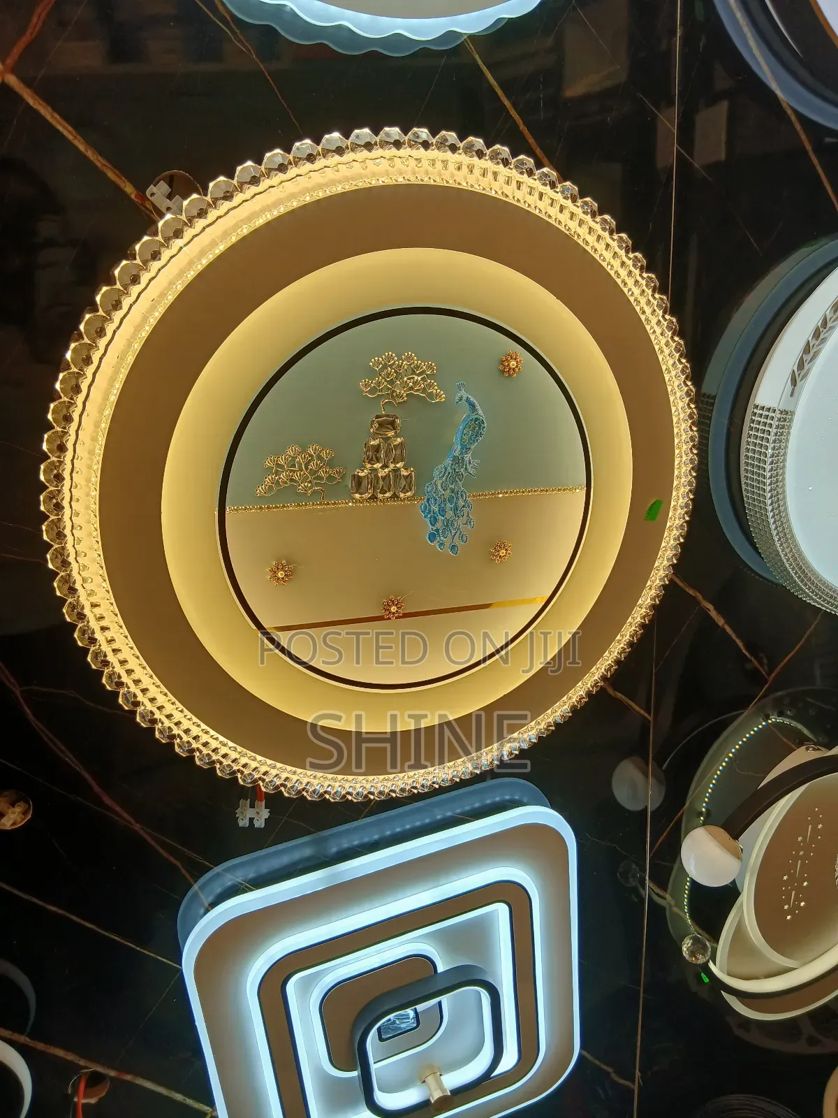 Ceiling Lights