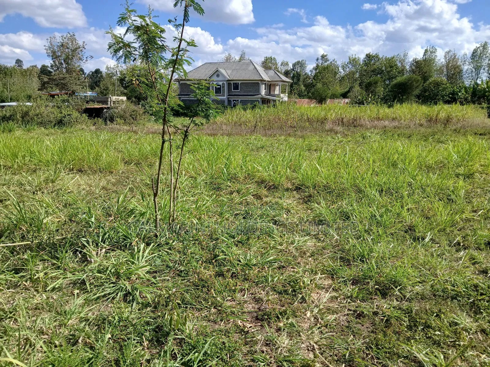 Full 100 by 100 Plot in Upper Matasia, 200 Metres Off Roimen Tarmac