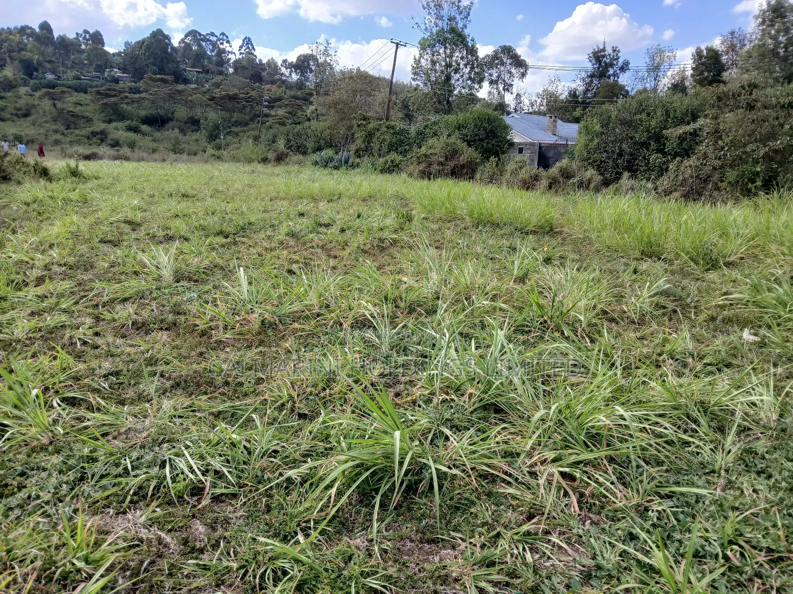 Full 100 by 100 Plot in Upper Matasia, 200 Metres Off Roimen Tarmac