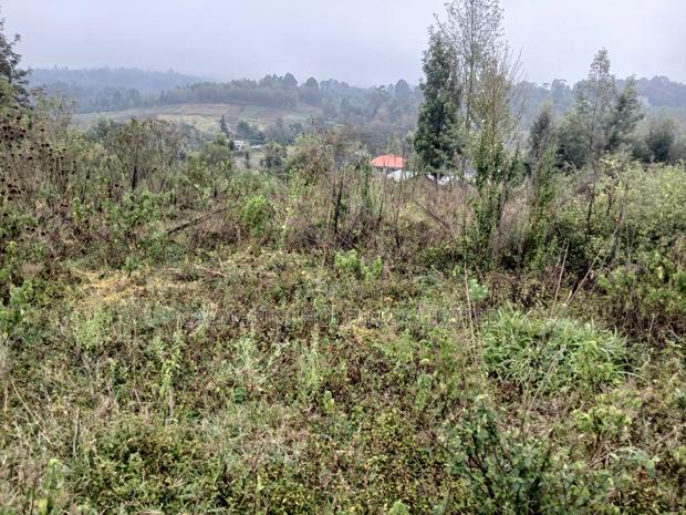 Distressed Full Quarter Acre Near Roimen Tarmac in Upper Matasia - main view