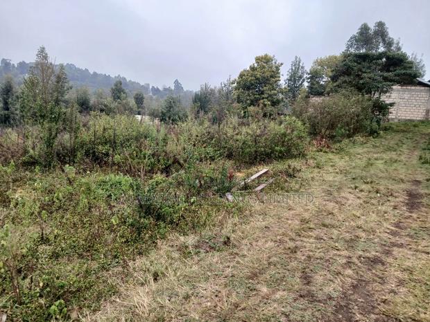Distressed Full Quarter Acre Near Roimen Tarmac in Upper Matasia - thumbnail 2
