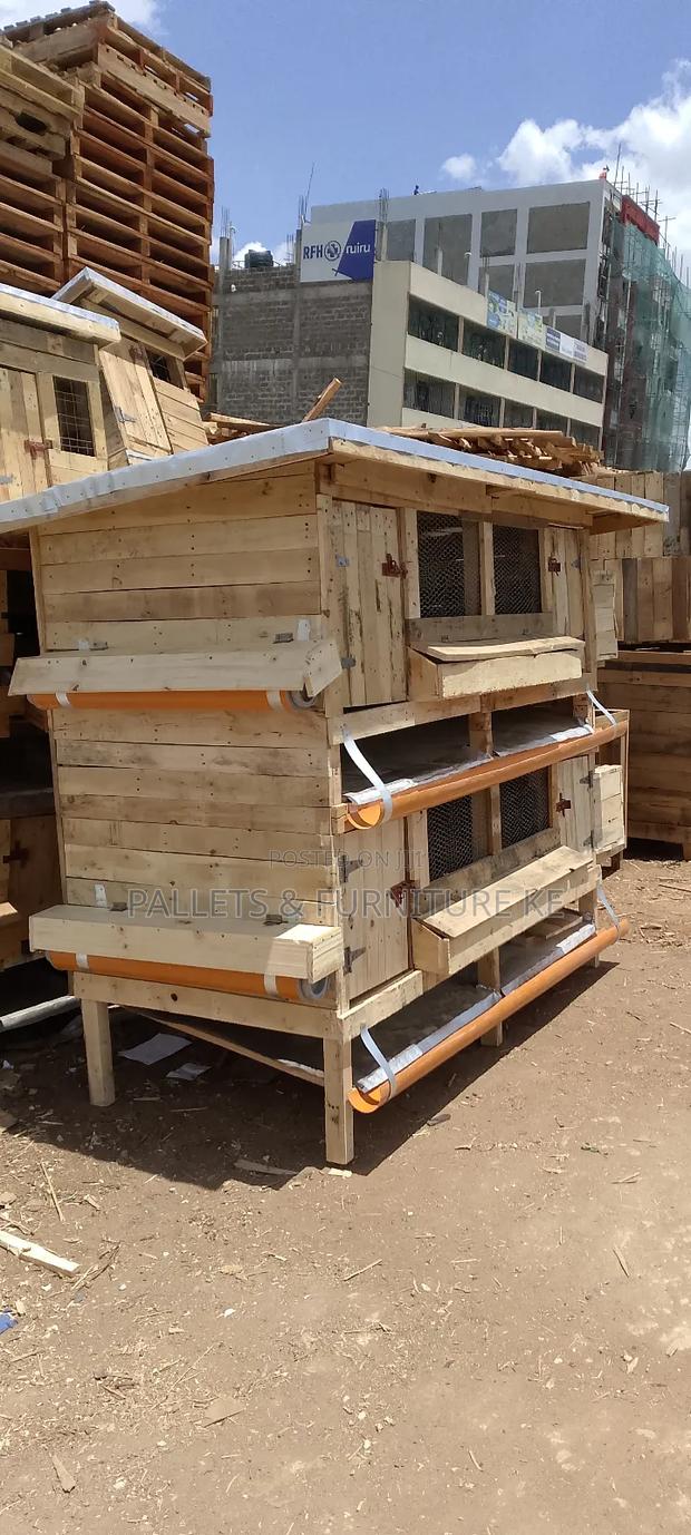 Modernized Chicken Cage