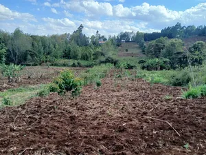 A Prime Redsoil Acre for Sale in Upper Matasia, 1km From Roimen Tarmac