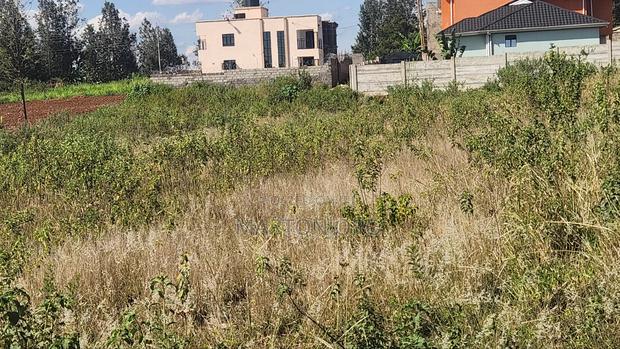 100by100 Mugutha Ruiru ( Damridge) - main view