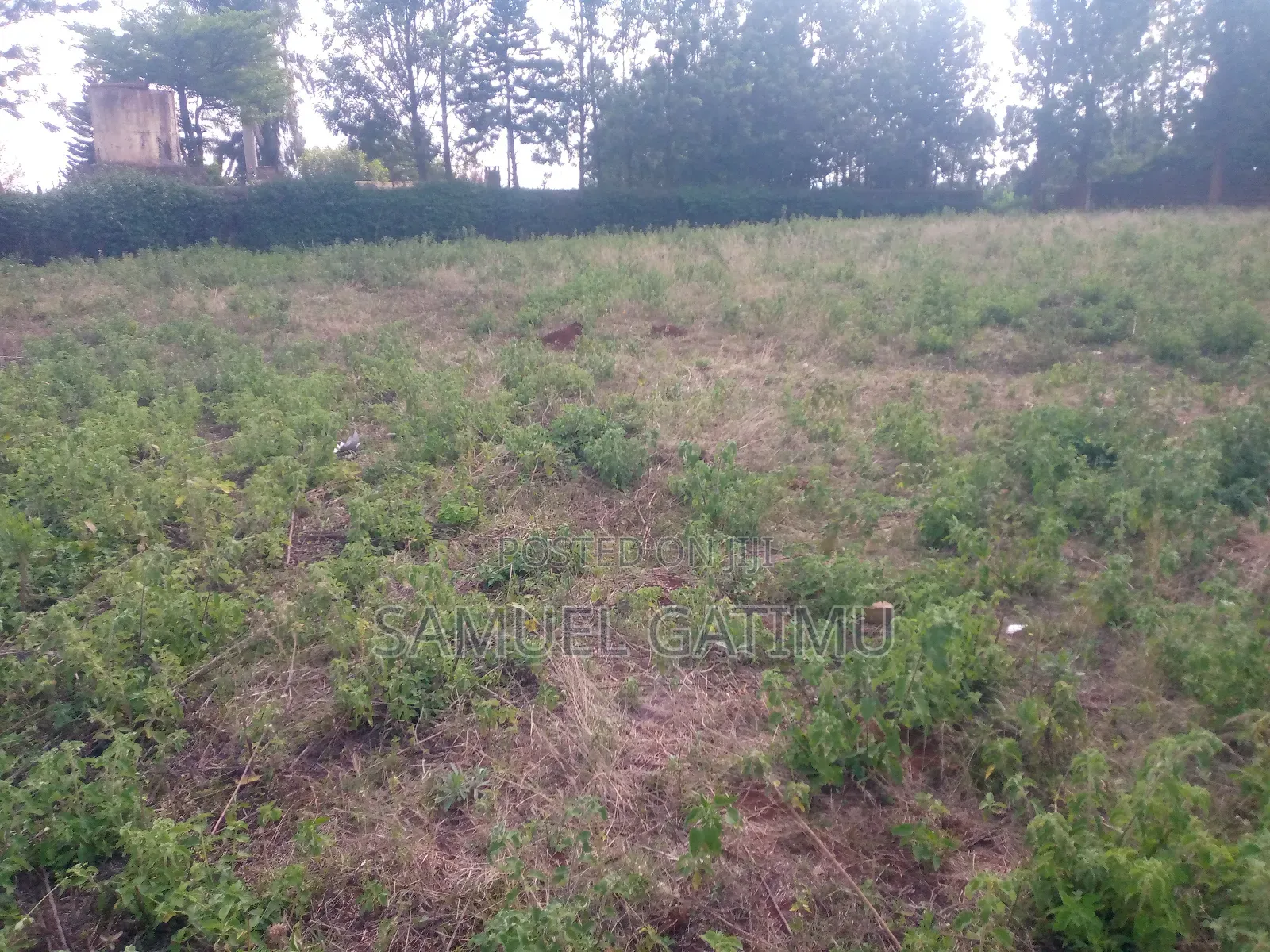 Plot for Sale Muchatha Little Servant