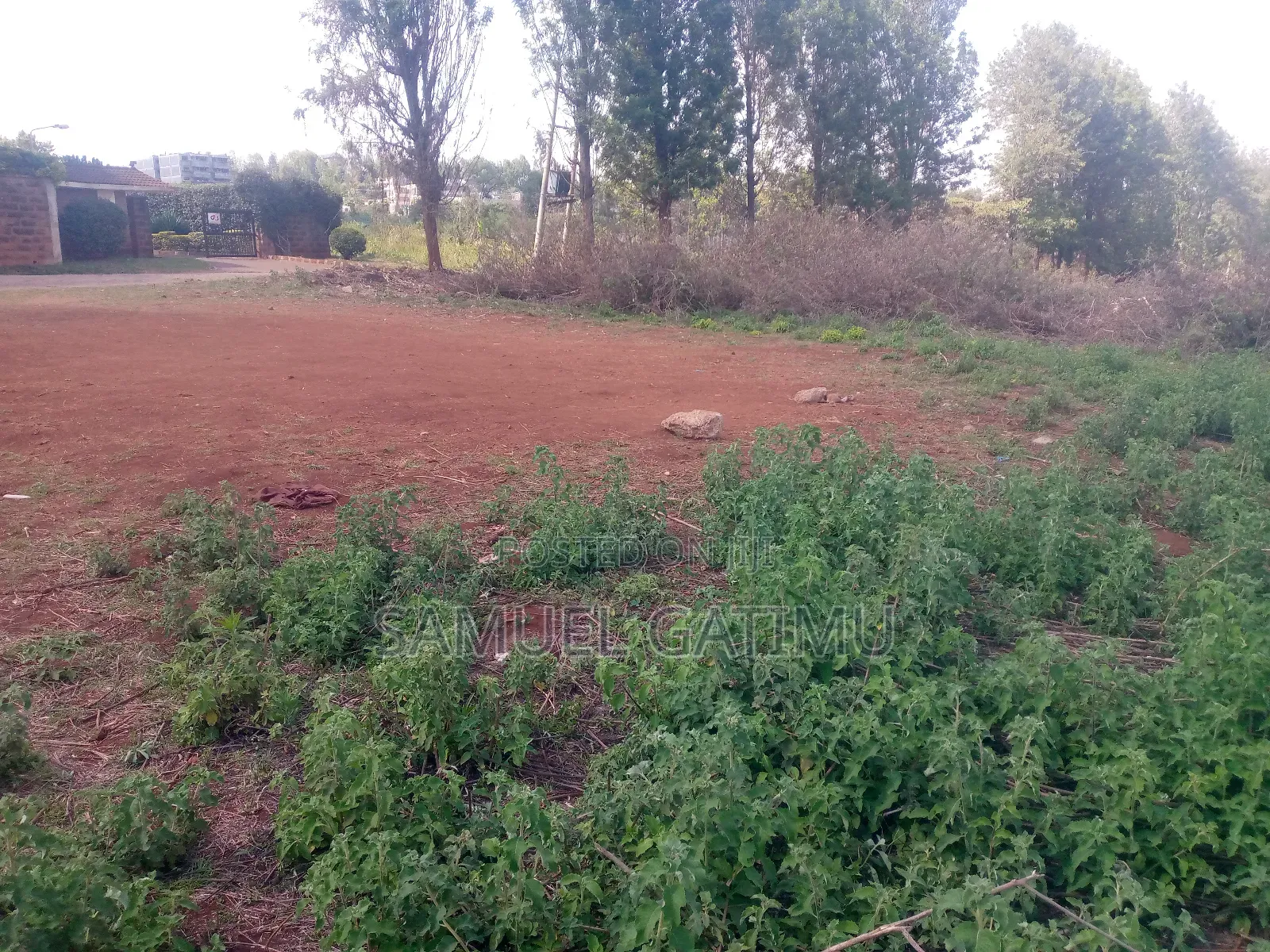 Plot for Sale Muchatha Little Servant