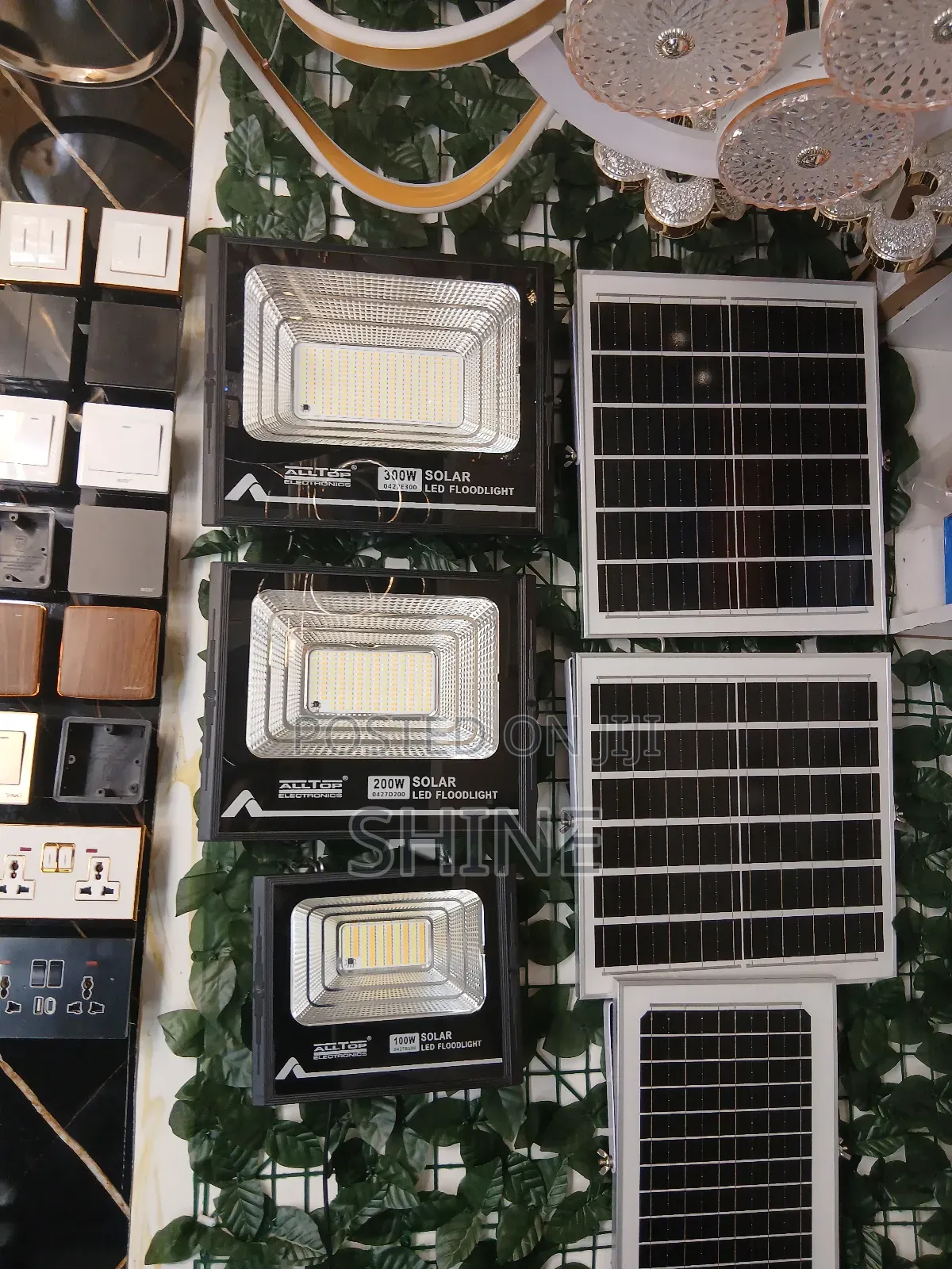 Solar Security Light