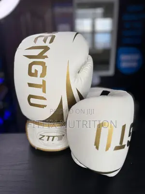 Zhengtu Boxing Gloves
