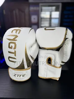 Zhengtu Boxing Gloves