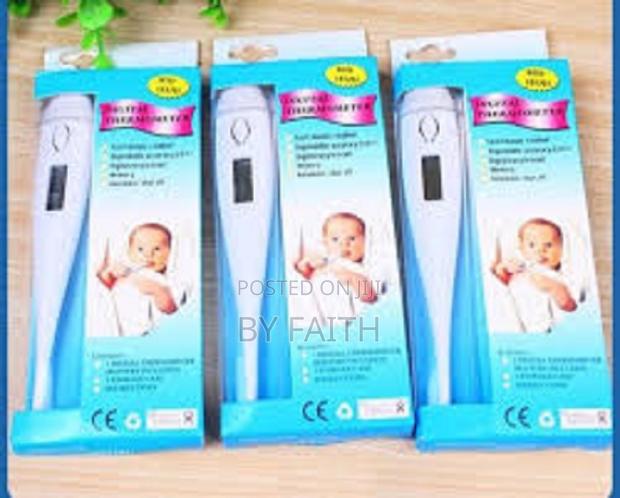 Digital Thermometer - High Quality - main view
