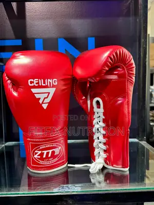 Ceiling/Ztty Quality Boxing Gloves