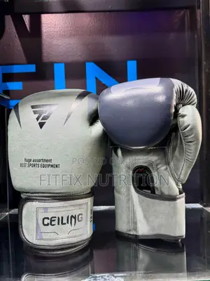 Ceiling/Ztty Quality Boxing Gloves