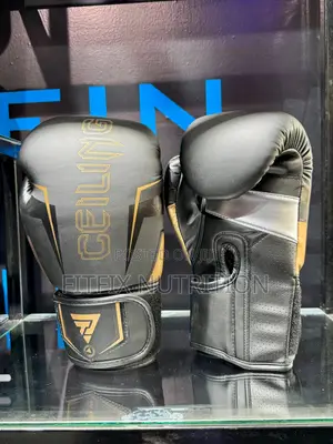 Ceiling/Ztty Quality Boxing Gloves
