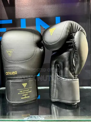 Ceiling/Ztty Quality Boxing Gloves