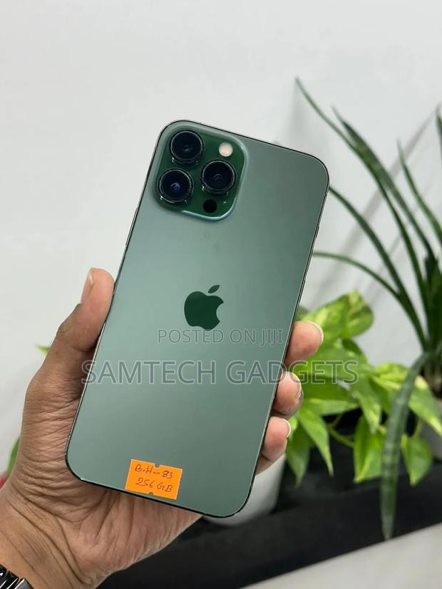 Apple iPhone 13 Pro Max 128 GB Green - thumbnail 3
