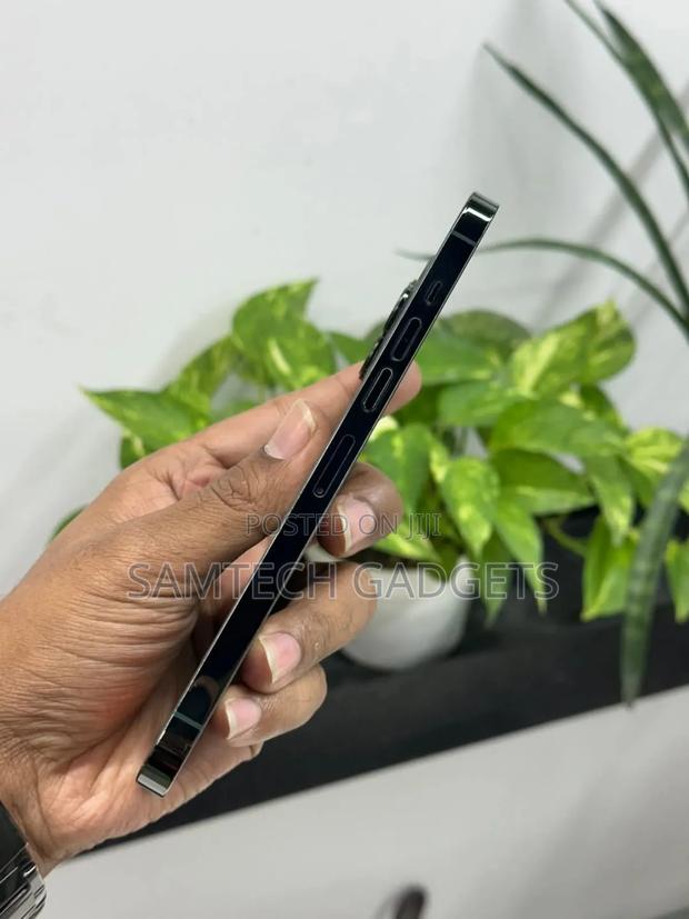 Apple iPhone 13 Pro Max 128 GB Green - thumbnail 4