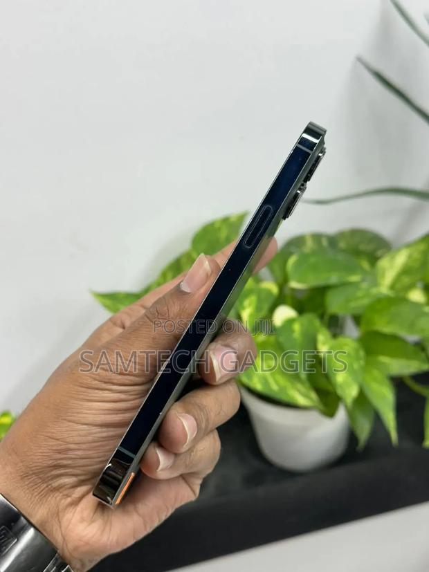 Apple iPhone 13 Pro Max 128 GB Green - thumbnail 5