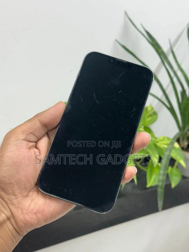 Apple iPhone 13 Pro Max 128 GB Green - main view