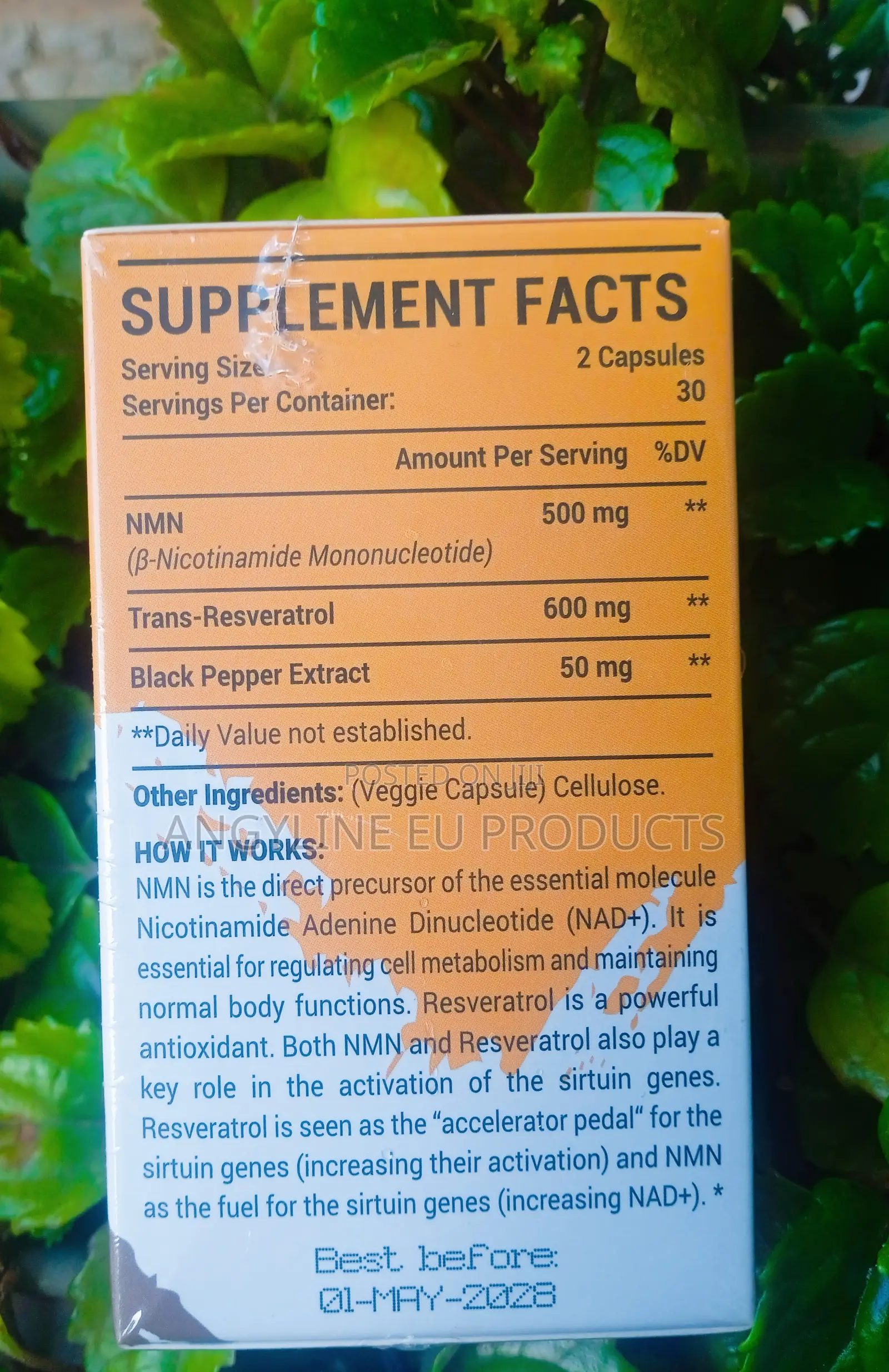 NMN With Resveratrol Capsules 1100mg 60s for Energy