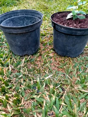 Planter Round Shaped