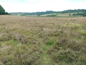 Advanced Unique Homes 100 Acres for Sale Ainabkoi Eldoret