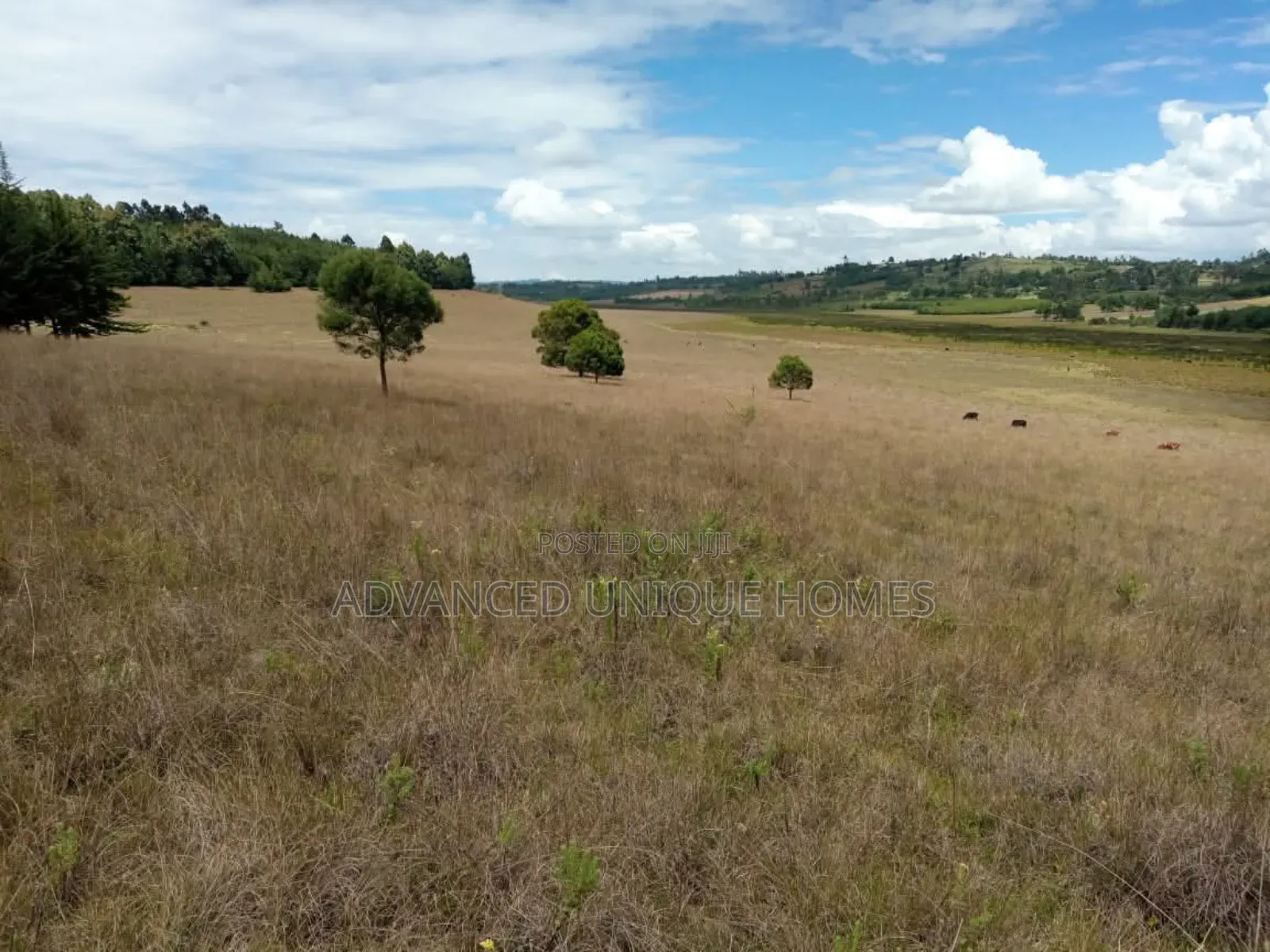 Advanced Unique Homes 100 Acres for Sale Ainabkoi Eldoret