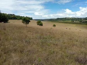 Advanced Unique Homes 100 Acres for Sale Ainabkoi Eldoret