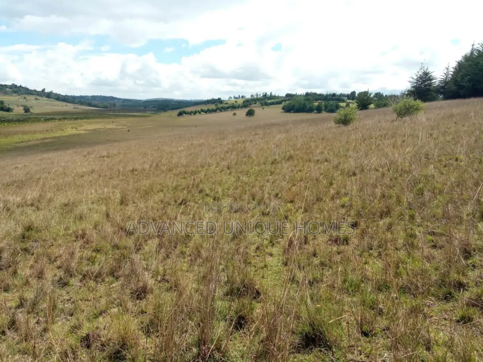 Advanced Unique Homes 100 Acres for Sale Ainabkoi Eldoret