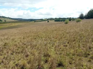 Advanced Unique Homes 100 Acres for Sale Ainabkoi Eldoret