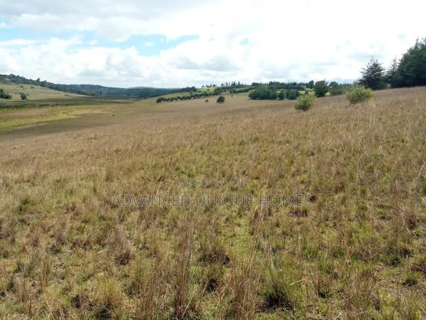 Advanced Unique Homes 100 Acres for Sale Anankoi Eldoret - thumbnail 3