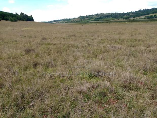 Advanced Unique Homes 100 Acres for Sale Anankoi Eldoret - thumbnail 4
