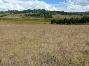 Advanced Unique Homes 100 Acres for Sale Ainabkoi Eldoret