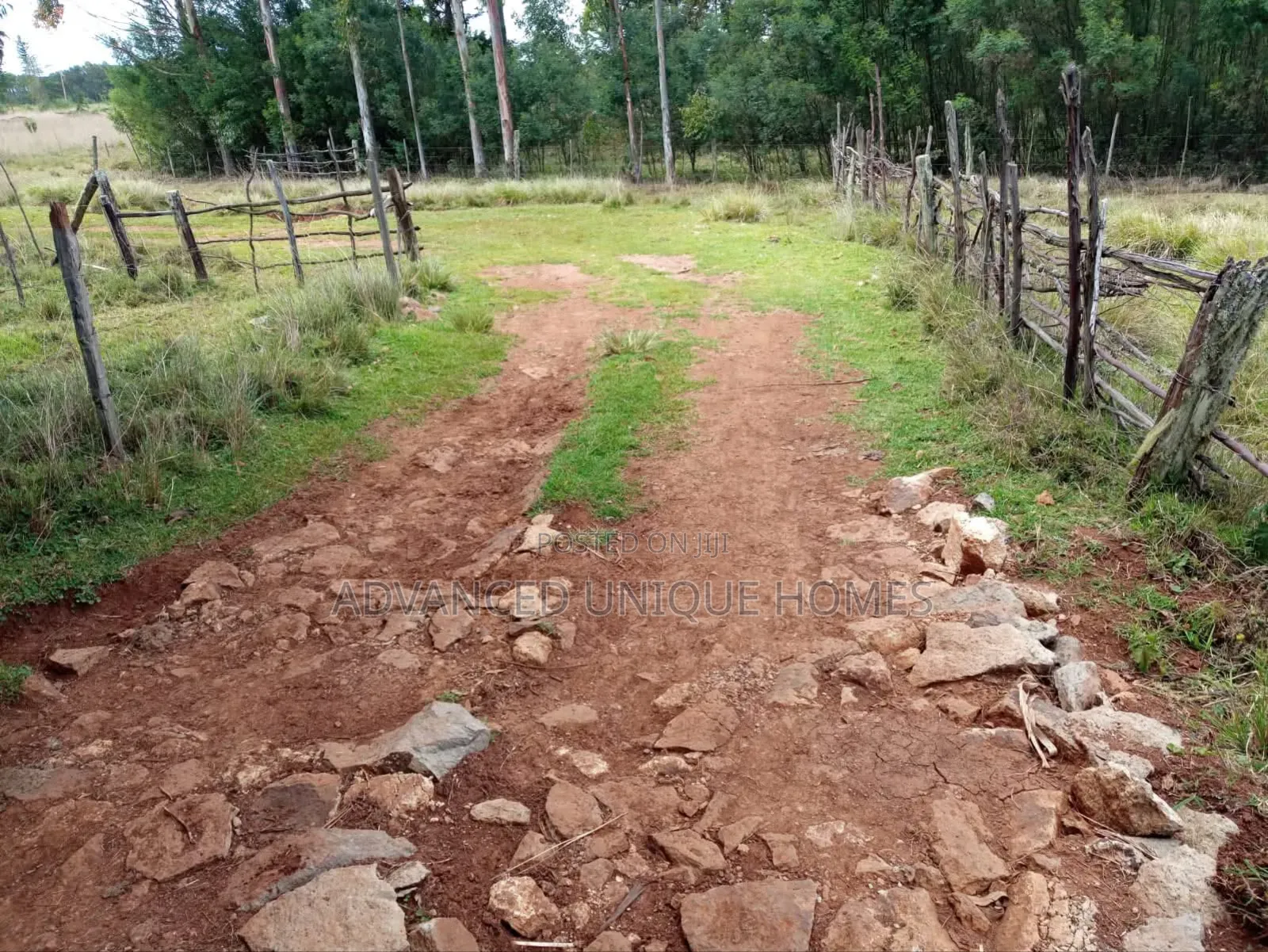 Advanced Unique Homes 100 Acres for Sale Ainabkoi Eldoret