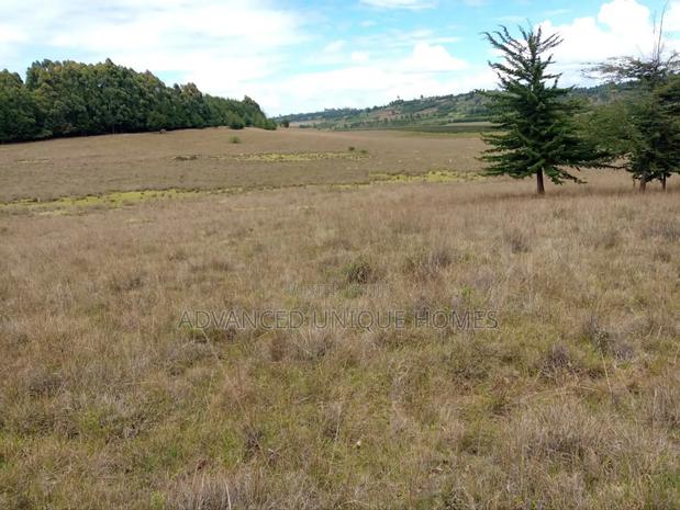Advanced Unique Homes 100 Acres for Sale Anankoi Eldoret - thumbnail 7