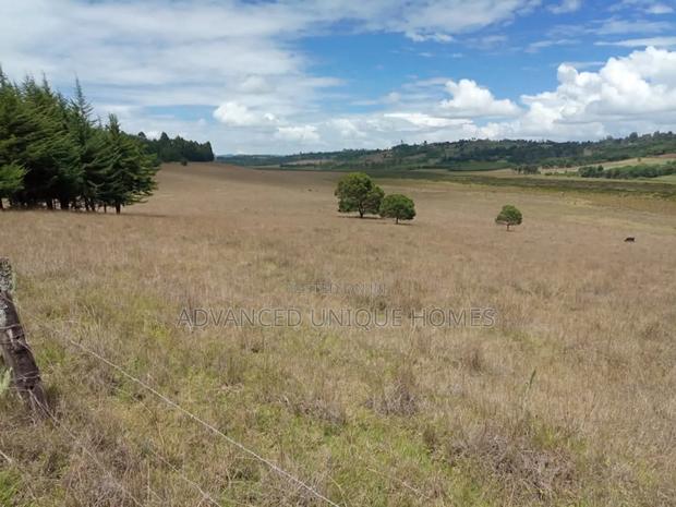 Advanced Unique Homes 100 Acres for Sale Anankoi Eldoret - thumbnail 8