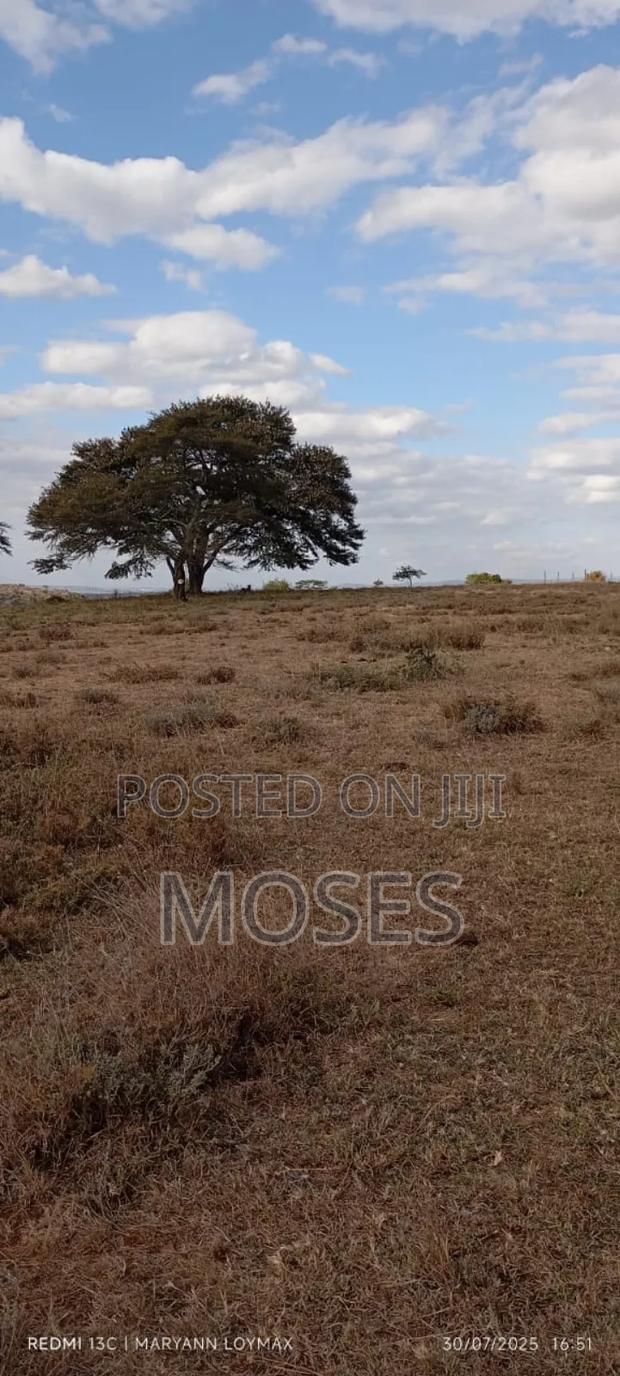 Plots For Sale - main view