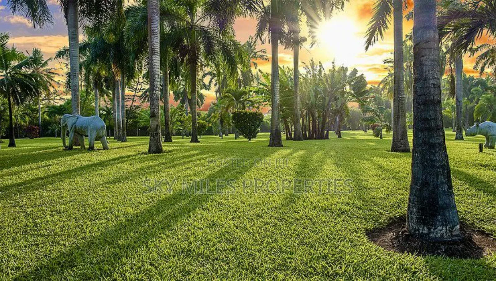 Diani, a Beautifully Resort Available for Sale