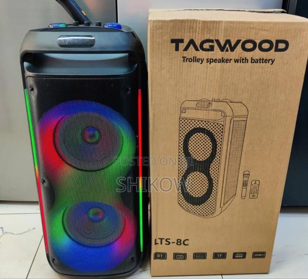 Tagwood Rechargeable Party Box With Microphone and Remote LTS 8c
