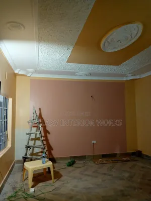Best House Painter , Wallmaster , Skimming and House Renovations