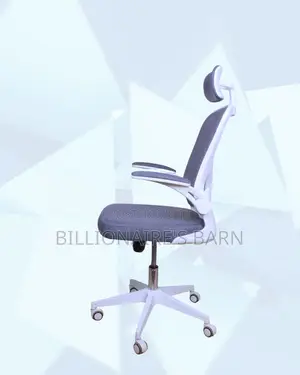 Sleek White Ergonomic Office Chair — Relieves Lower Back Pressure