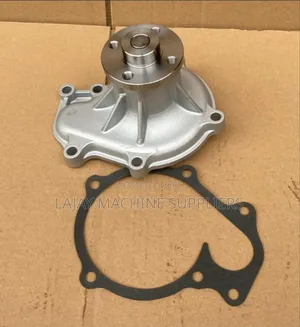 Sdmo Water Pump