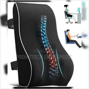 Spine Friendly Backrest