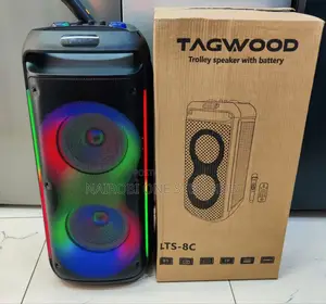Tagwood Rechargeable Party Box With Microphone