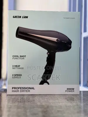 Green Lion Professional Hair Dryer